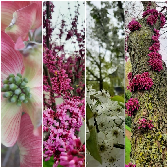 Meet your Posher, Stephanie - Picture 10 of 17